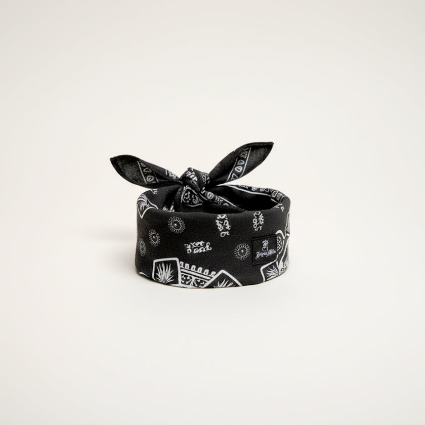 El Paño Bandana